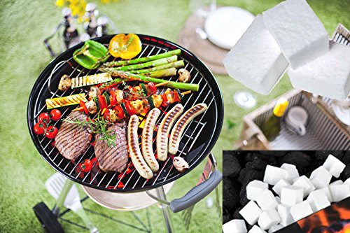 Fire Lion 1536 Grillanzünder Anzündwürfel Grillen Kohleanzünder Anzünder Kaminanzünder BBQ