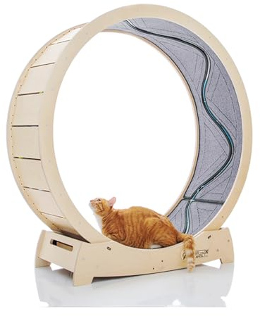STAR CATWHEEL Cinta de Correr para Gatos, Rueda de Ejercicio para Correr, Girar, Madera de Abedul de Primera Calidad, ecológica, Peces en Movimiento, Pista Ancha para Correr, tamaño XL, 47,2 Pulgadas