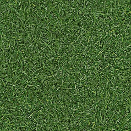 Sol Vinyle Nature - Imitation Gazon - Rouleau de 3.00m x 2m