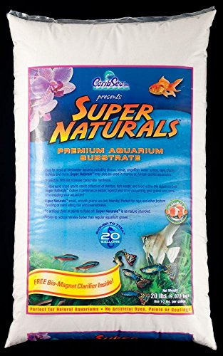 Caribsea White Marine Sand 20lb