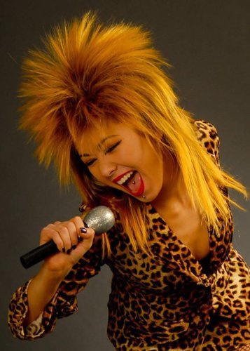 Magic Box 80s Tina Turner Style Rock Diva Wig