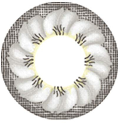 Matlins – EOS färgade kontaktlinser utan styrka grå Big Eyes Big Flower 2 linser 1 kontaktlinsskydd 1 hygieniskt medel 50 ml