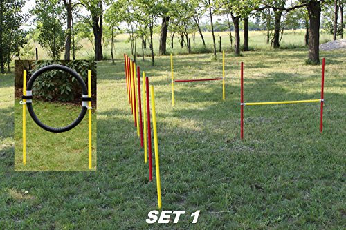 Wuzzmann Trading Agility-ÜBUNGS-ANFÄNGER-Set MIT SPRUNGRING/Slalom/HÜRDEN