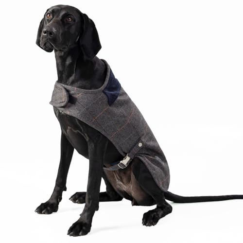 HUGO & HUDSON x Hackett Chaqueta de Tweed para Perro, Abrigo de Invierno cálido con Cuello de Pana, Cuadros Grises en Espiga, XS25