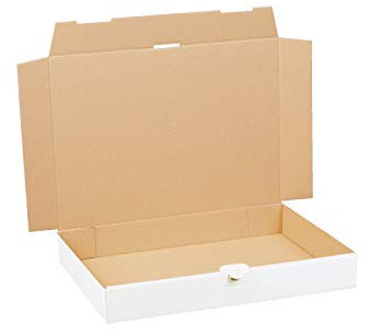 100 Maxibriefkartons weiß 350 x 250 x 50 mm DIN A4+ B4 Maxibrief Versandkarton Warensendung Büchersendung