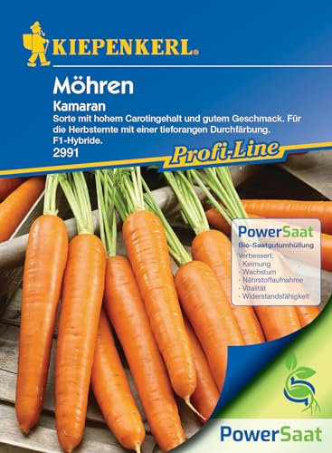 Kiepenkerl Profi-Line Möhrensamen Kamaran, PowerSaat - Inhalt reicht für ca. 4-6 lfd. Meter - Tieforangene Herbstmöhre mit hohem Karotingehalt - Garten Saatgut für Direktsaat - Wintermöhre Samen