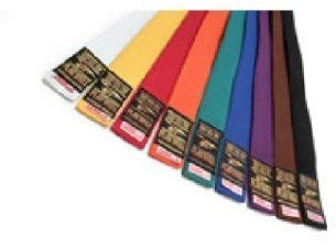 Playwell Cinturones para artes marciales, 300 cm, color sólido