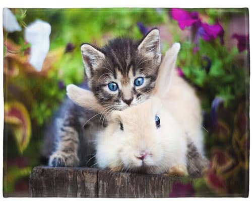 YISUMEI Tiermotiv Kuscheldecke Katze und Kaninchen Weich Bequem Kunstfell Decke Kuscheldecken für Couch Bett XXL,150 x 200 cm