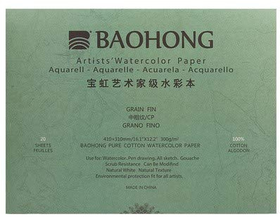 BAOHONG Akvarellblock för konstnärer, 20 ark, (strukturerad kallpress 16,1 x 12,5 cm), 100% bomull, syrafri, 63,5 kg/300 GSM, konstpapper för akvarellfärger, torra, våta och blandade medier