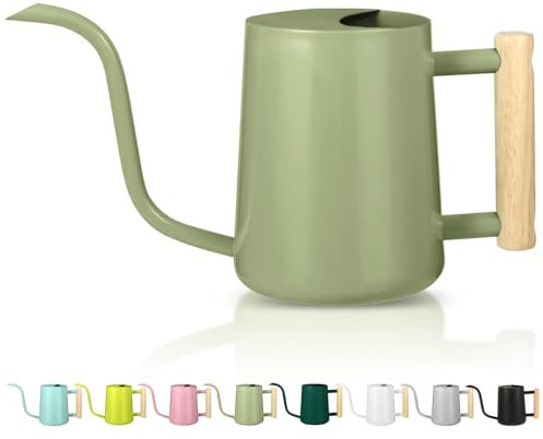 Gießkanne Zimmerpflanzen, 1L Gießkanne Klein Indoor Metall Edelstahl Moderner Dekorativer Giesskanne mit Langem Auslauf für Haus Pflanze Bonsai Outdoor Garten Blumen (Avocado Grün)