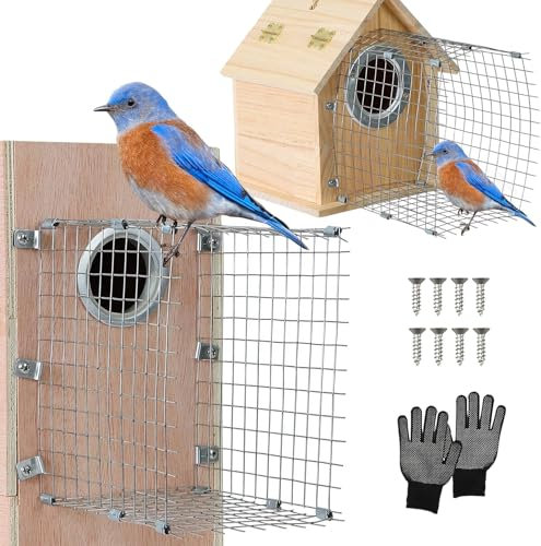 HanTang Barrière de protection en métal pour maison bleue - Protection d'entrée pour les nichoirs bleus, sans danger pour les oiseaux et leurs garçons