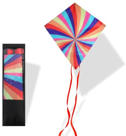 Plliocse Kites for Children and Adults, Large Rainbow Kite with Long Tail for Boys Girls Beach Trip Outdoor Game (Style 2)
