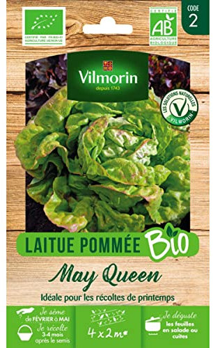 Vilmorin Sachet graines Laitue Pommée May Queen Bio - Lactuca Sativa