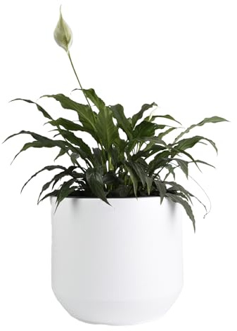 B2C Round Plant Pot Elegant Large Flower Indoor Outdoor Garden Planter Heos 36L Home Decor removable insert Large (White)