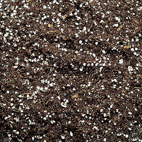 Carnivorous Plant Potting Mix – Premium Venus Flytrap, Pitcher Plant and Sundew Substrate with Perlite, Coco Coir and Leca for Healthy Growth and Strong Root Development (2L)