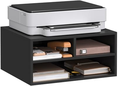 WOLTU Schedario da Ufficio a 2 Livelli con Custodia, Porta Stampante da Scrivania in Legno con 3 Scomparti per l'Ufficio, 47x40x22,5cm, Nero, ASK15sz