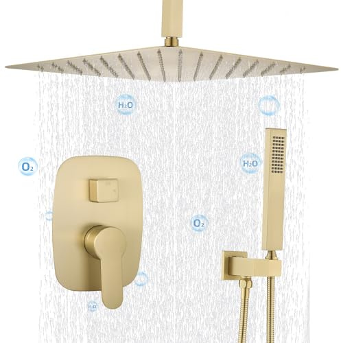 Delnet Système de douche à effet pluie Or brossé 40,6 cm Fixation au plafond Système de pommeau de douche encastré
