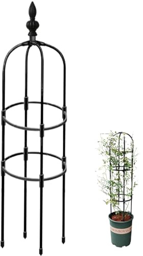 Ginwrek Obelisco Traliccio da Giardino Obelisco 119 cm Obelischi per piante rampicanti graticcio antiruggine facile da installare supporto per piante rampicanti per piante in vaso