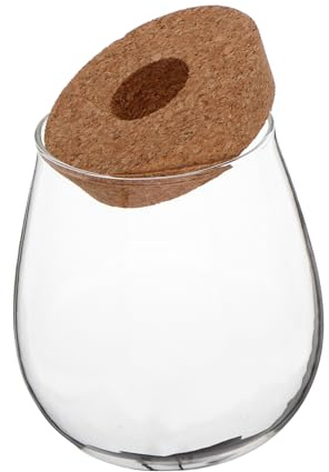 TOYANDONA Creative Transparent Glass Hydroponic Planter Globe Vase for Indoor Plants Desktop Propagation Station with Clear View Low Watering Maintenance Elegant Home Decor