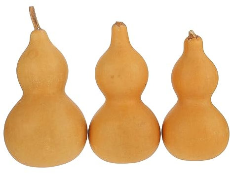 Ciieeo Lot De 3 Décorations en Calebasse Naturelle Fabriquées À Partir De Calebasse Séchée pour La Maison Et Le Bureau