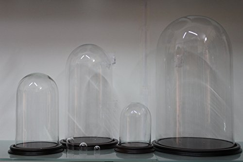 Campana di vetro cupola, glass domes misura 30 x h. 50 completa di base