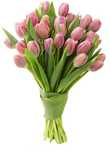Blooms2Door - 30 Pink Tulips ( Farm-Fresh Flowers and Homegrown in the USA) - Fresh Flowers for Birthday, Valentine's & Mother's Day