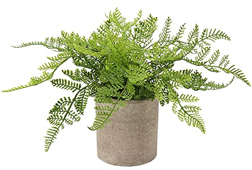 Hollyone Artificial Rabbit's Foot Fern Fern Plant in Pot, Decorative Fake Plant Indoor, Faux Grass for Home Decor Bedroom Living Room Shelf Office
