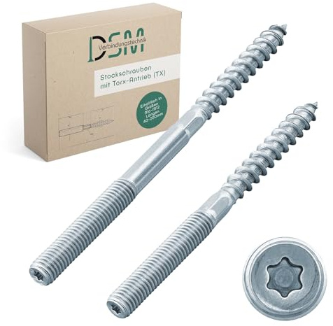 DSM? Stångskruvar M12 x 160 mm med Torxdrift (TX 30) galvaniserad M6 – M12, dubbelgänga för rörklämmor, SW10 mm, träanslutningar, rörklämmor monteringsmaterial, 10 stycken