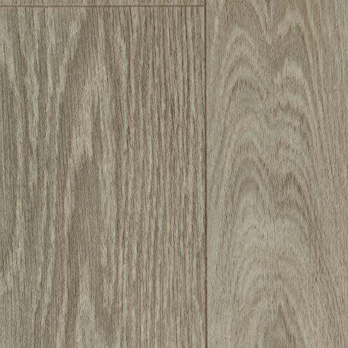 Vinylboden PVC Bodenbelag | Holzoptik Diele Eiche creme weiß hell | 400 und 500 cm Breite | Meterware | Variante: 6,5 x 5m