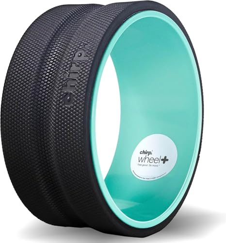 Chirp Wheel Foam Roller - Targeted Back & Neck Pain Relief, Muscle Massage, Trigger Point Therapy, High-Density Foam Tool for Physical Therapy, Stretching & Exercise, 500lbs Capacity, 10-Inch Mint