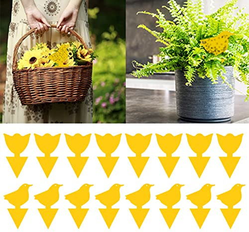 Anti Moucheron Plante,Attrape Mouche,Pièges à Insectes,Attrape Moucheron Interieur,nematodes moucherons,Plug-in piège à Mouches plaques Jaunes Autocollant Jaune Plant,16PCS,(Oiseaux&Tulipes)