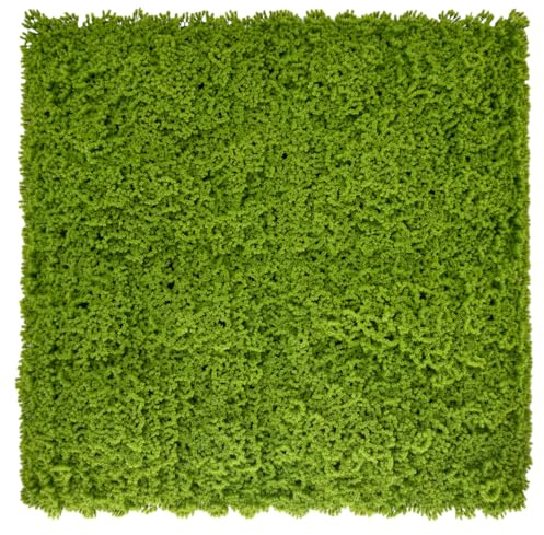 Ark Mat Artificial Plant Flower Living Wall Panels Realistic Indoor/Outdoor Garden 1 Piece 100cm x 100cm Home, Office, Cafe, Shop, Salon, Wedding (Moss)