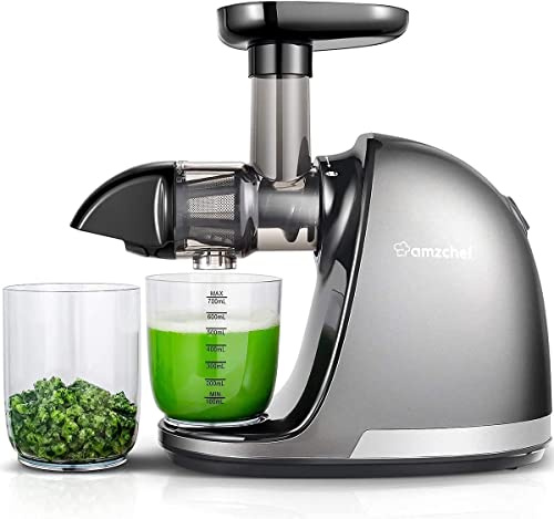 AMZCHEF Cold Press Masticating Juicer Machine - 90% Yield Reverse System, Quiet Motor for Home & Breakfast, 3-Step Clean with Brush, Includes 50+ Juice Recipes, Silver Grey
