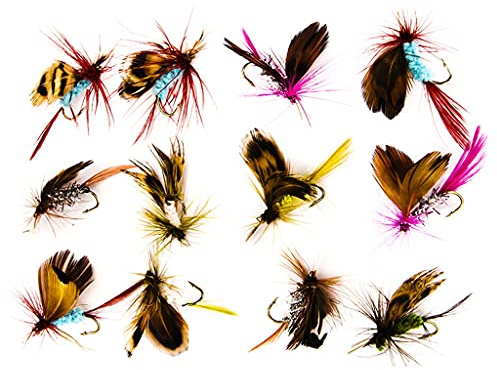 12 cebos de libélulas para pesca con mosca, señuelos artificiales secos para lago y océanos, entusiastas de la pesca artificial