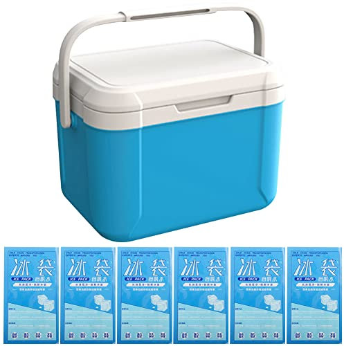 AMZLORD Kühlbox 5 Liter inkl. 6 Kühlakkus - Bis zu 8 Std. Kühlung - Thermobox aus Kunststoff - Outdoor Kühltasche Aufbewahrungsbox for Camping, Picknick, Grillen & Garten