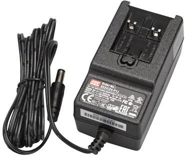 Mean Well GE24I24-P1J strömförsörjning, fast spänning 24 V/DC 1 000 mA 24 W