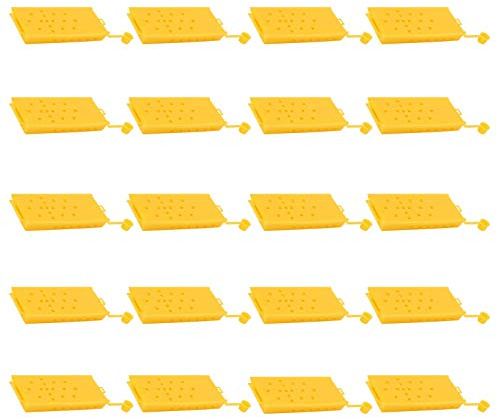 20 jaulas para Abejas Reina, jaulas de Transporte para Abejas de plástico Amarillo, Caja ventilada para Abejas Reina con alimentador de Esponja para Apicultura, Equipo Esencial par