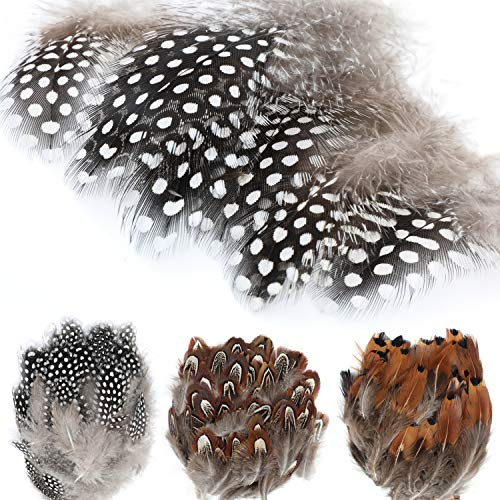 MWOOT 300 blandade kycklingfläckiga fjädrar naturlig fasanfjäder för hantverk olika gör-det-själv födelsedagsfest bröllop heminredning
