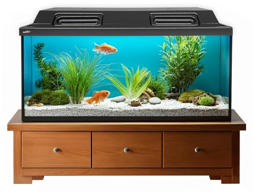 ZooPaul Couvercle d'aquarium 80 x 35 cm avec 2 éclairages LED T8 9 W