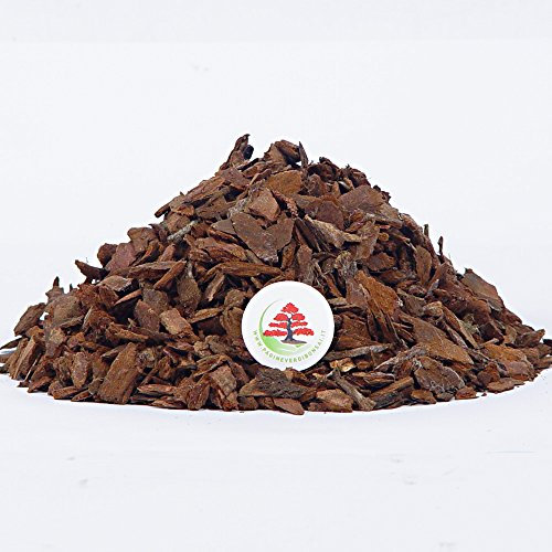 Pagineverdibonsai Bark - Substrato per Orchidee - Pezzatura 15-25 mm - Contenuto 12 lt (3,3 kg Circa)