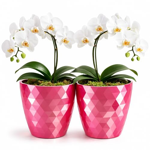 PECZEKO Pot de Fleurs Brillant en Plastique, Décoratif pour Grandes et Petites Fleurs, Lot de 2 Pots à Herbes, Rose, ø 18 cm