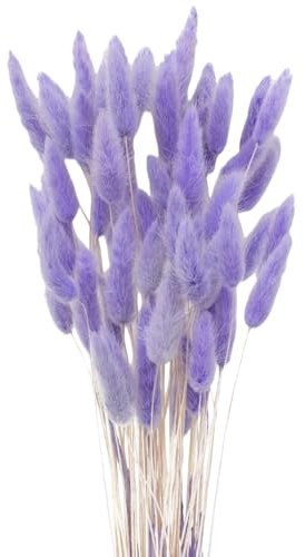 MHDAMAI Getrocknetes Pampasgras,Kaninchenschwanz Gras 60 Stück Natürlicher Trockenblumen Blumenstrauß Deko Künstlich Groß Trockenblumen Pampasgras für Inneneinrichtungen Fotografie Hochzeit Lila