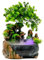 Fuente de interior Cascades con iluminación LED, fuente de jardín, decoración, para decoración en el salón, pasillo, entrada, estudio, restaurante, 20 x 15 x 28 cm