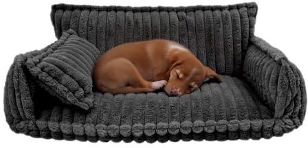 MEELRYD Katzensofa, Katzenbetten für Hauskatzen Weich und Flauschig, Hundesofabett mit Mini-Kissen, Waschbar rutschfest Hundebetten für Katzen, Hunde, 100 x 67 x 40 cm, Dunkelgrau