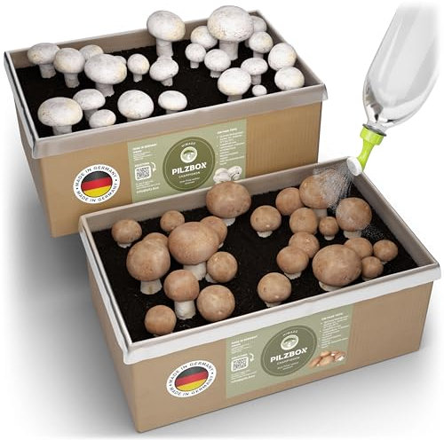 Hiwago Komplettset Champignon Pilzbox zum Pilze züchten für Zuhause – Komplettset für braune & weiße Champignons, Pilzbrut zum Züchten für zuhause - Mushroom kit mit Myzel & Gießkannenaufsatz Gr. M