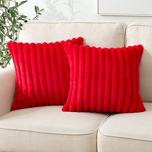 Soleebee Lot de 2 housses de coussin en velours pelucheux, fausse fourrure douce, housses de coussin décoratives, housses de coussin décoratives pour canapé, chambre à coucher, maison