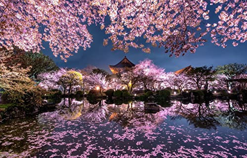 Puzzle für Erwachsene, 1000 Teile, Lichter der Stadt, Nachtlichter, Frühling, japanische Kirschblüten, 52 x 38 cm