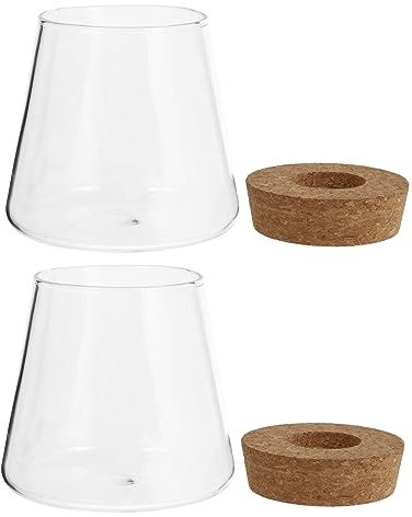 Gatuida 2stücke Glasvase Für Hydroponik Tischvase Für Pflanzen Für Büro Und Zuhause Klarglas Terrarium Für Wurzelzucht Und Dekoration