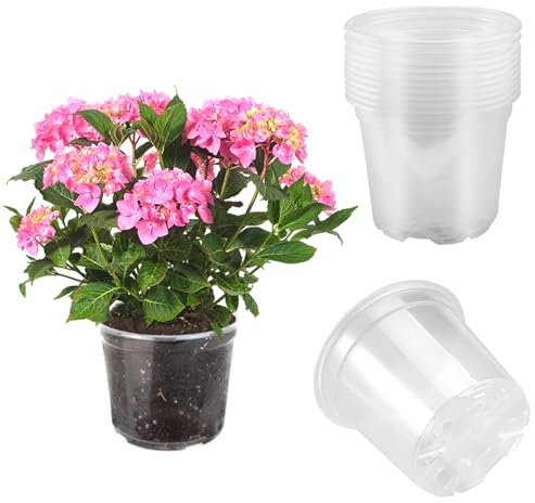 10 Pièces Pot pour Orchidées en Plastique, Pots à Orchidées Transparents avec Trou de Drainage, Pot de Fleurs Plastique pour Bureau de Balcon intérieur et extérieur
