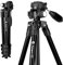 Fotopro Trépied de Voyage 144CM, trépied d'appareil Photo en Aluminium léger avec rotule 2 Voies, Plaque à dégagement Rapide 1/4, Sac de Transport, trépied de Voyage pour Appareil Photo DSLR SLR